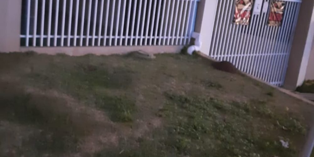 WhatsApp Image 2025-06-03 at 20.58.42