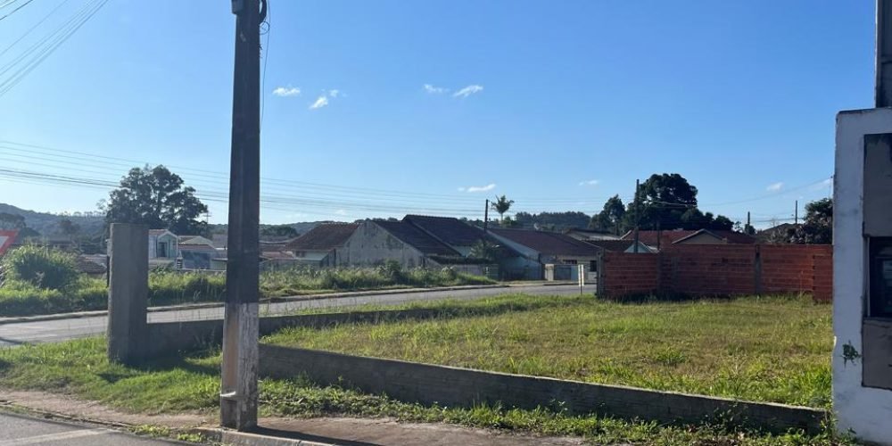 WhatsApp Image 2025-06-18 at 11.19.12(2)