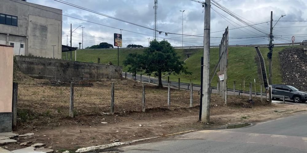 WhatsApp Image 2025-12-01 at 16.38.57(2)