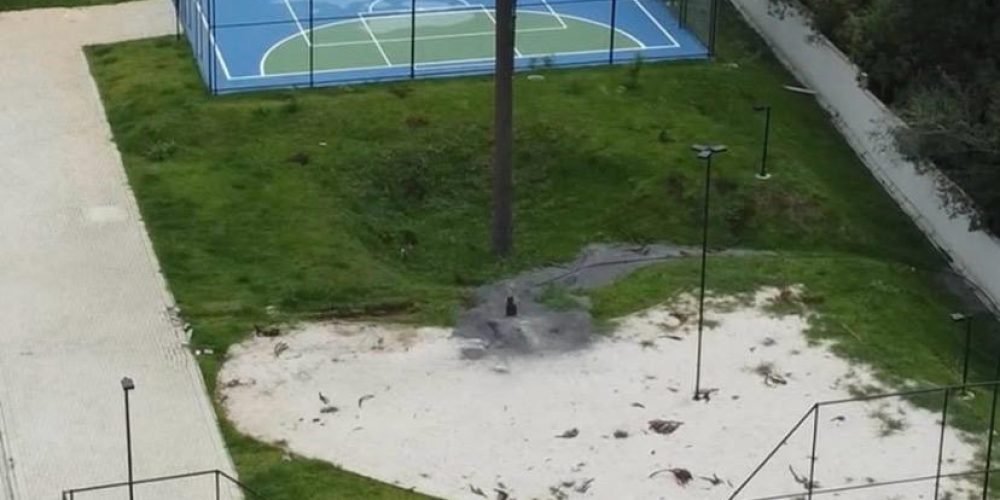 WhatsApp Image 2026-02-25 at 19.30.39(2)