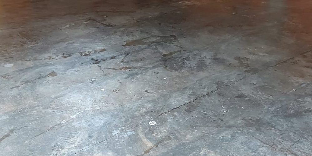 WhatsApp Image 2026-03-16 at 11.56.10(2)