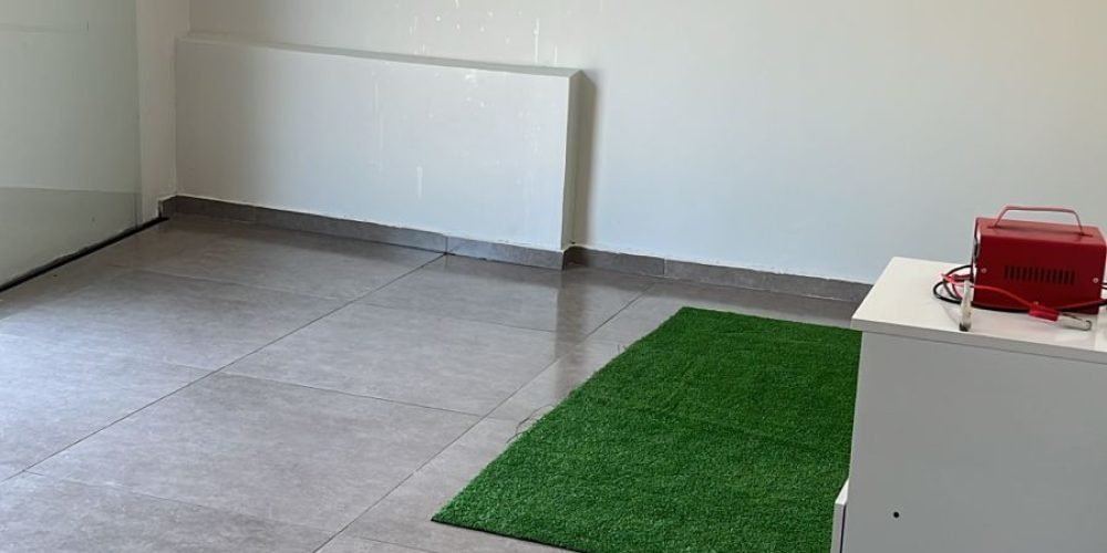 WhatsApp Image 2026-03-17 at 11.21.23