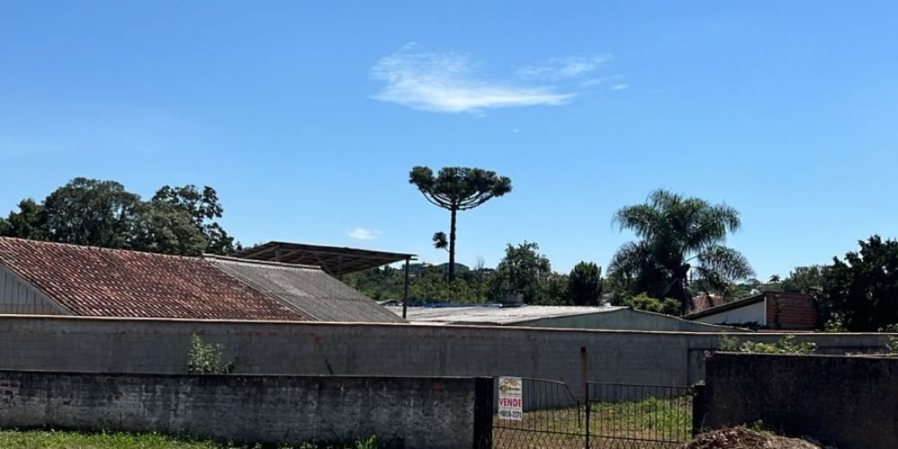 WhatsApp Image 2026-03-17 at 11.49.04