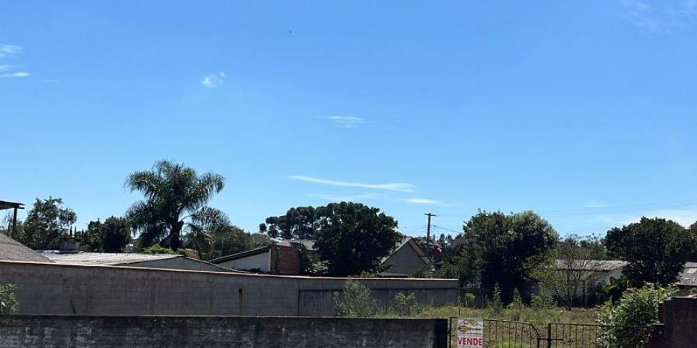 WhatsApp Image 2026-03-17 at 11.49.54