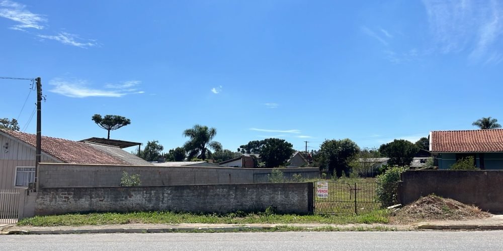 WhatsApp Image 2026-03-17 at 11.50.06