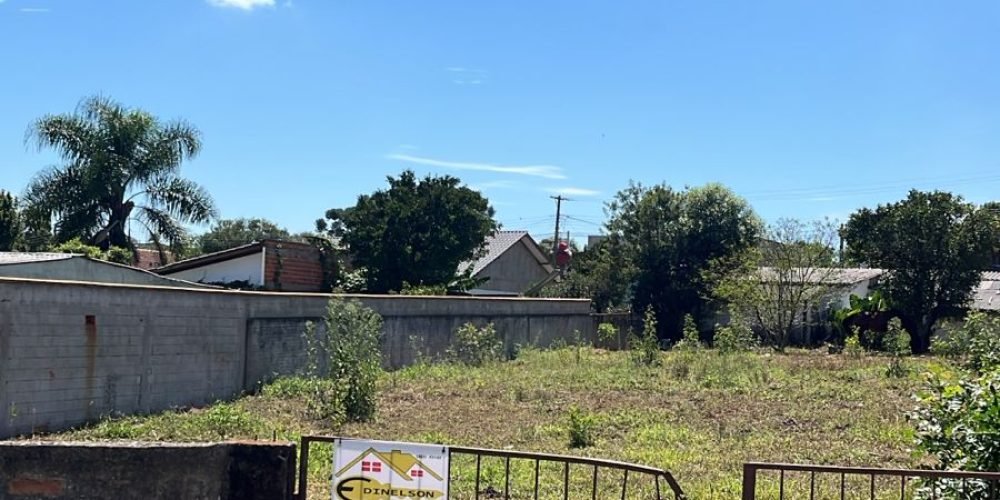 WhatsApp Image 2026-03-17 at 11.50.38